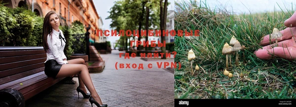 мяу мяу мука Алзамай