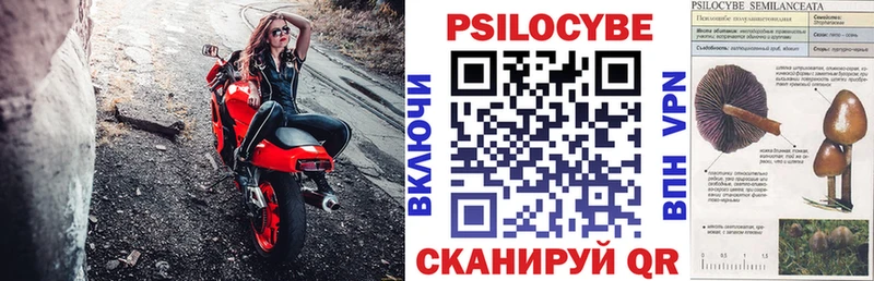даркнет клад  Опочка  Псилоцибиновые грибы Psilocybine cubensis 